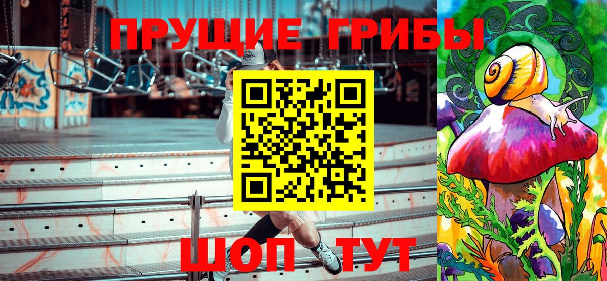 Псилоцибиновые грибы Psilocybe Уварово